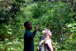 Park Narodowy Arusha: Piesze safari i Game Drive