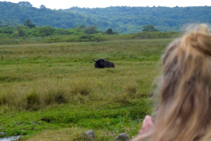 Park Narodowy Arusha: Piesze safari i Game Drive