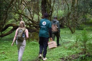 Arusha Nationaal Park: Wandelsafari en wildrit