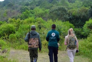 Arusha Nationaal Park: Wandelsafari en wildrit