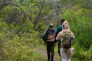 Arusha Nationaal Park: Wandelsafari en wildrit