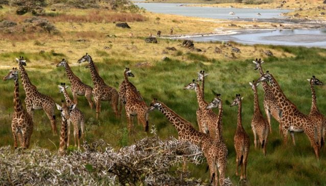 Národní park Arusha