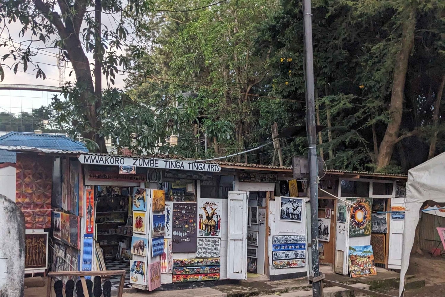 Arusha: inngangsbillett til naturhistorisk museum og guidet omvisning