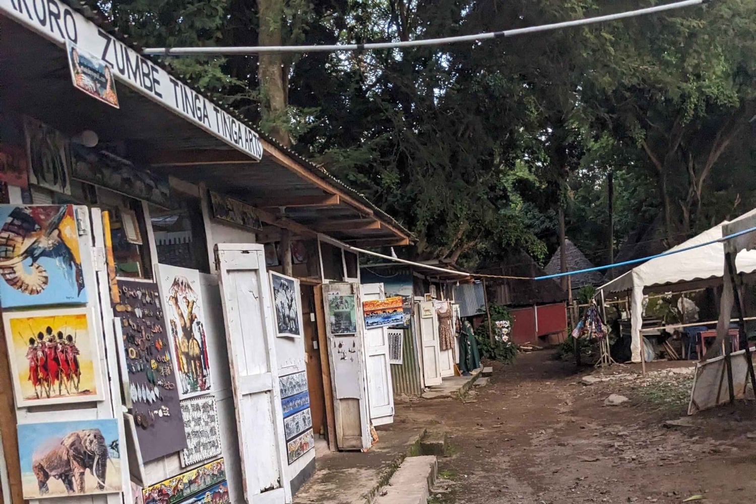 Arusha: inngangsbillett til naturhistorisk museum og guidet omvisning