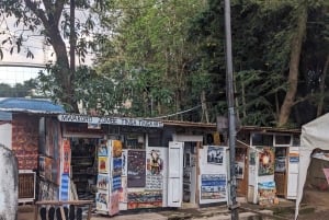 Arusha: inngangsbillett til naturhistorisk museum og guidet omvisning