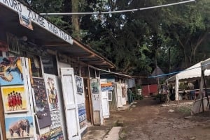 Arusha: inngangsbillett til naturhistorisk museum og guidet omvisning