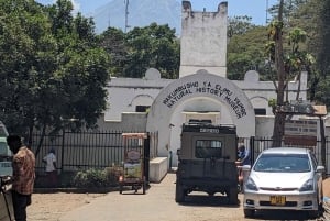 Arusha: inngangsbillett til naturhistorisk museum og guidet omvisning