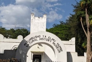 Arusha: inngangsbillett til naturhistorisk museum og guidet omvisning
