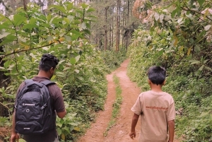 Escursione naturalistica ad Arusha alle cascate di Napuru.