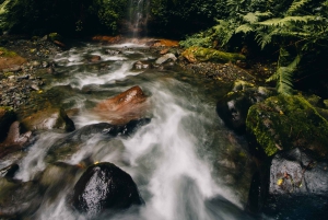 Escursione naturalistica ad Arusha alle cascate di Napuru.