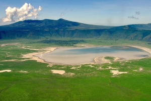 Arusha: Cratera de Ngorongoro e excursão ao Kilimanjaro