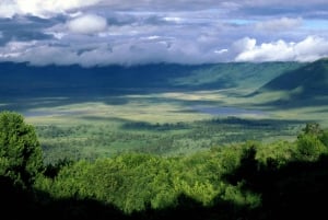Arusha: Ngorongoro Crater Day Tour