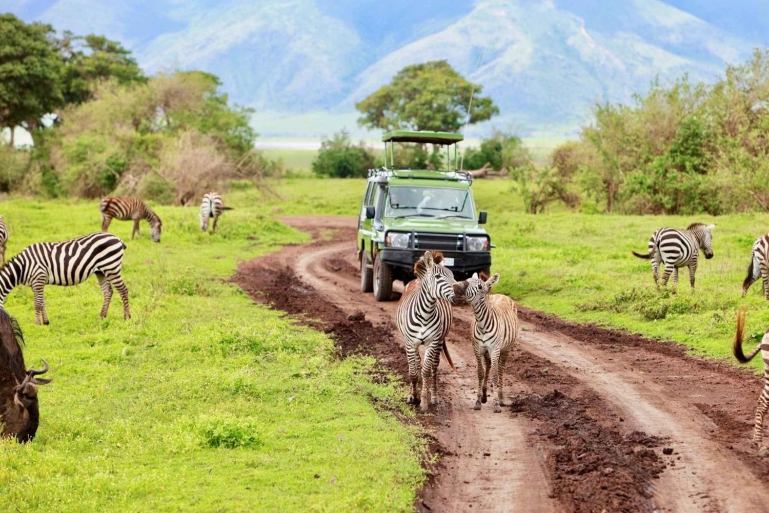 Arusha: escursione di un giorno nel cratere di Ngorongoro con fotosafari
