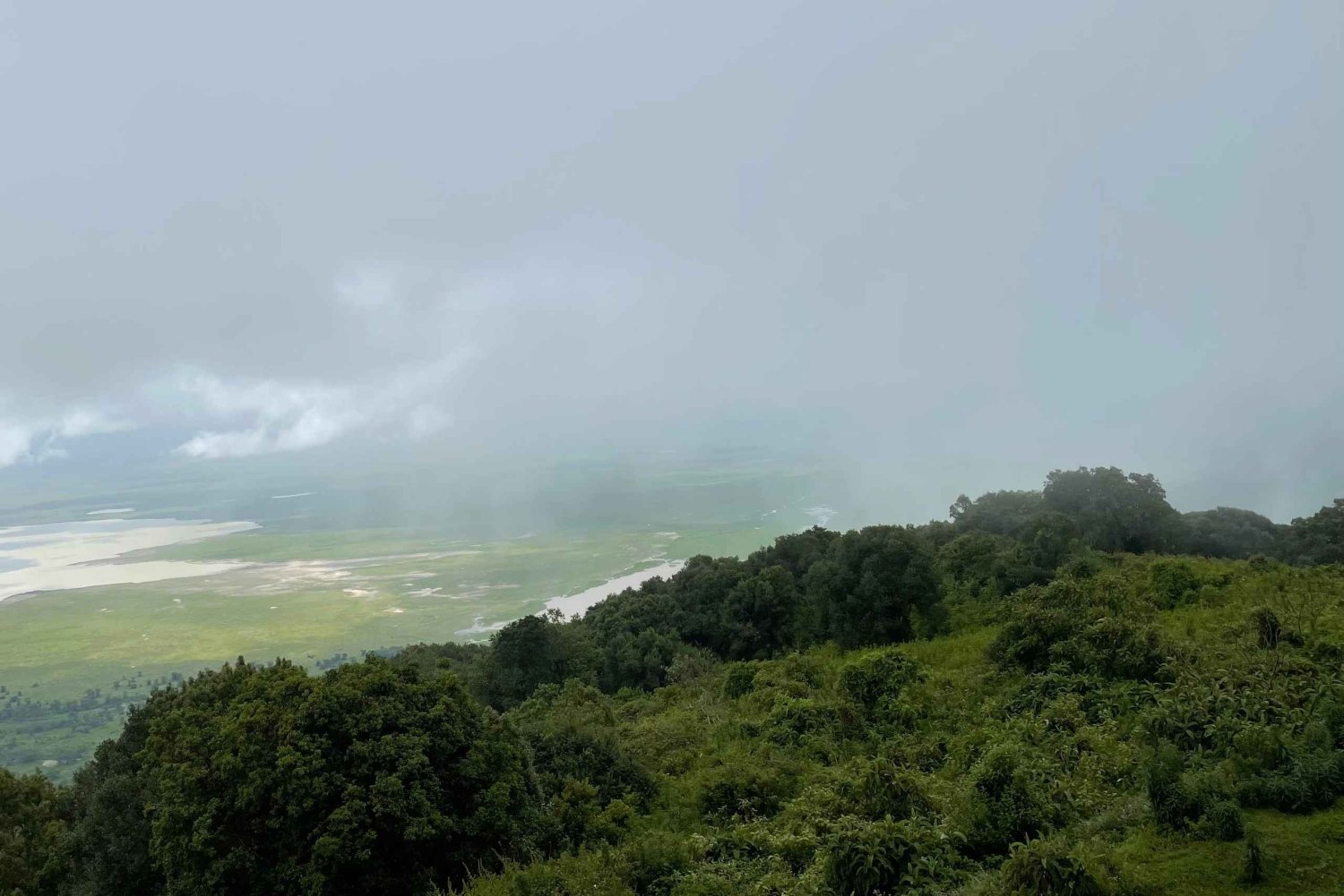 Arusha : excursion d'une journée au cratère du Ngorongoro avec safari