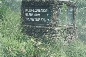 Arusha: Dagsudflugt til Ngorongoro-krateret med safaritur