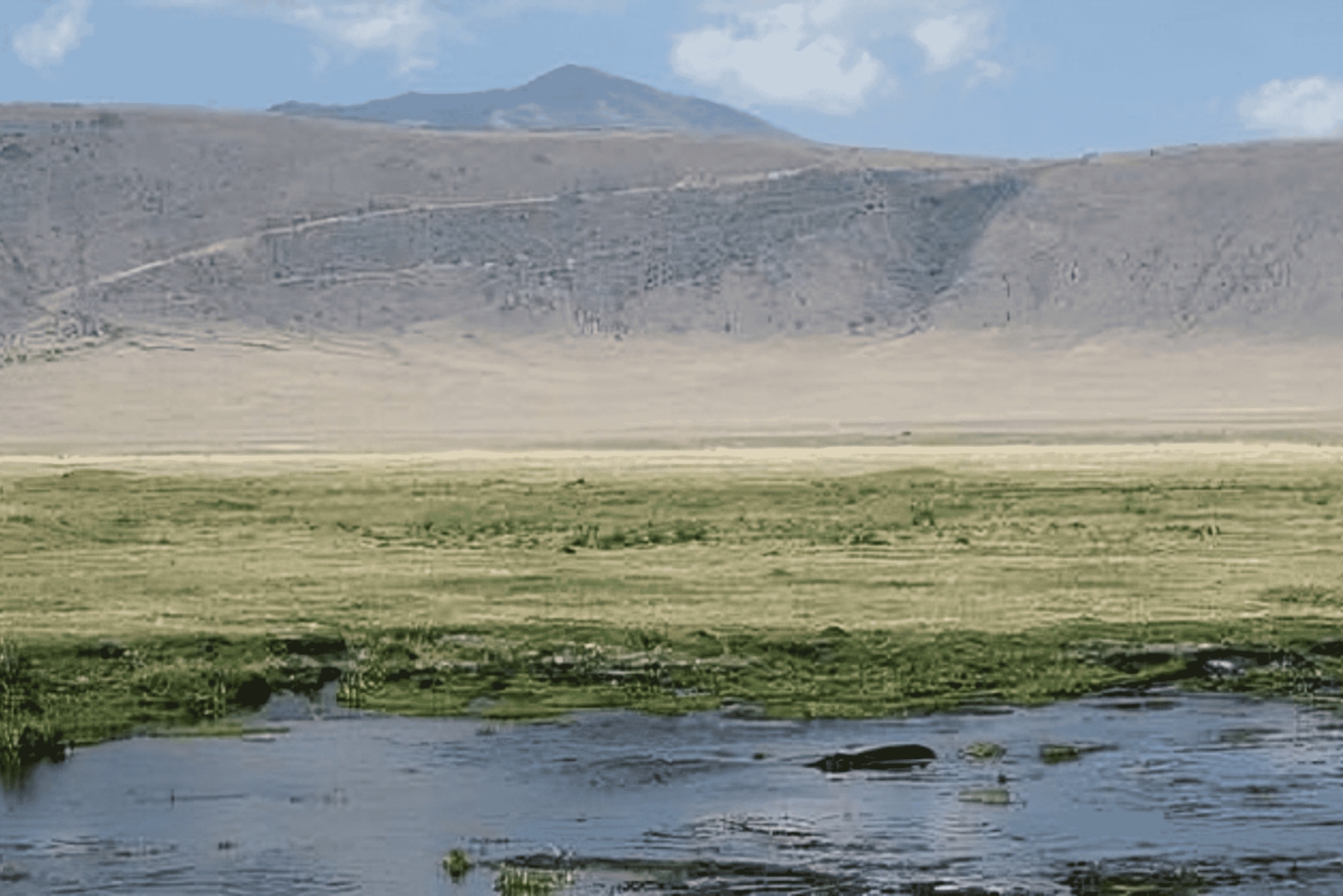 Arusha: Tagestour zum Ngorongoro-Krater mit Mittagessen