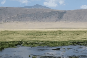 Arusha: Tagestour zum Ngorongoro-Krater mit Mittagessen