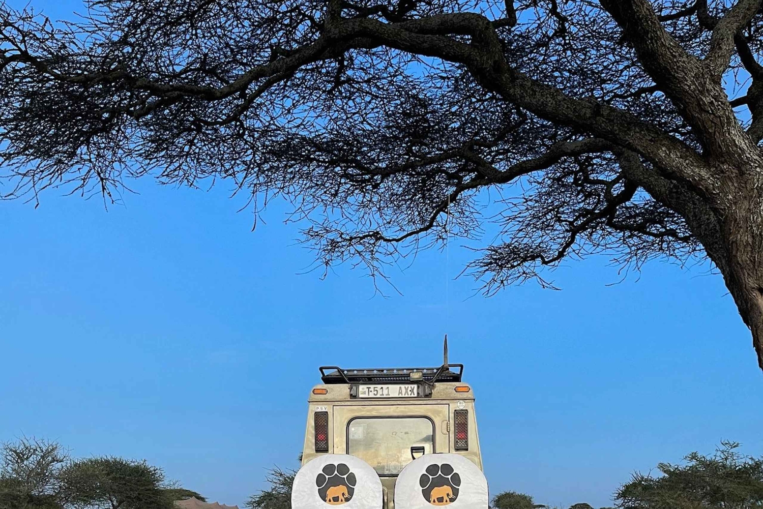 Arusha: Tagestour zum Ngorongoro-Krater