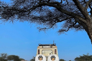 Arusha: Tagestour zum Ngorongoro-Krater