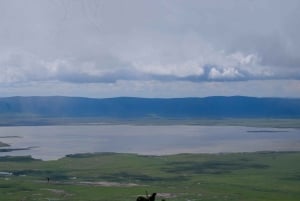 Arusha: Ngorongoro-krateret heldagssafari