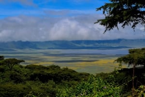 Arusha: Ngorongoro-krateret heldagssafari