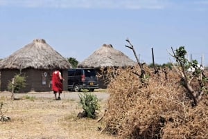 Аруша: ночь в деревне масаи.