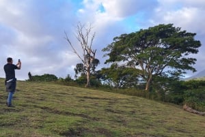 Arusha: Panoramic Sunset View with Food Options