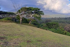 Arusha: Panoramic Sunset View with Food Options