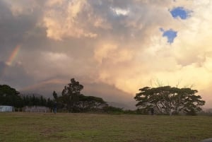 Arusha: Panoramic Sunset View with Food Options