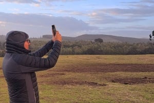 Arusha: Panoramic Sunset View with Food Options