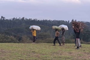 Arusha: Panoramic Sunset View with Food Options