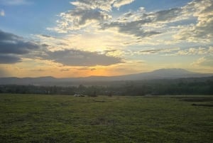 Arusha: Panoramic Sunset View with Food Options