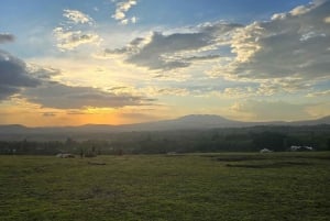 Arusha: Panoramic Sunset View with Food Options