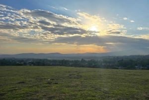 Arusha: Panoramic Sunset View with Food Options