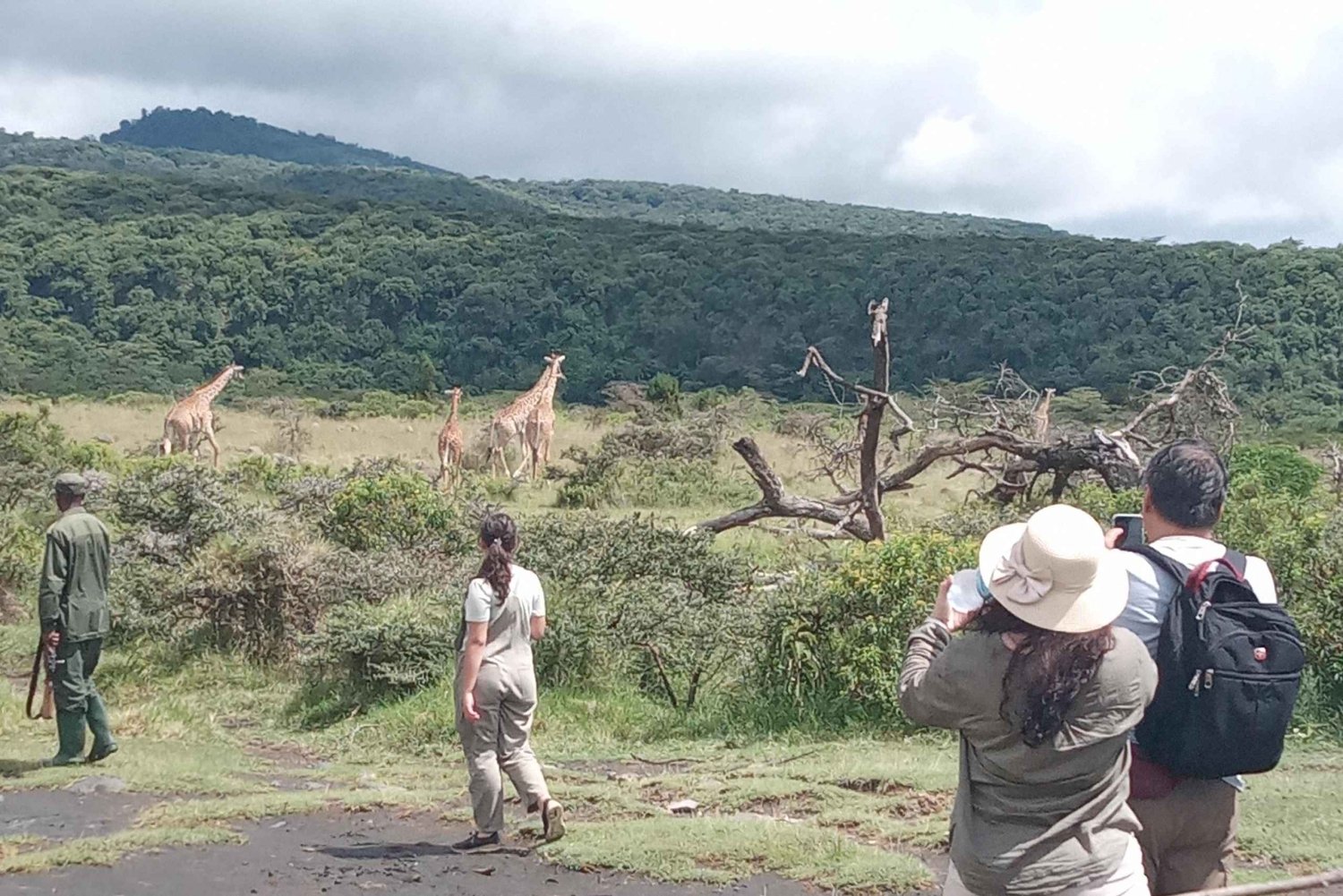 Safari por el Parque Arusha