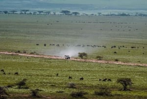 Arusha: Privat 3-dagsudflugt Serengeti-migrationstur