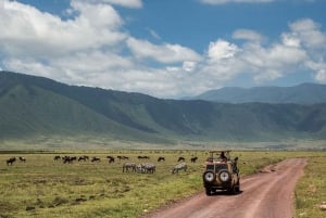 Arusha: Privat 3-dagsudflugt Serengeti-migrationstur