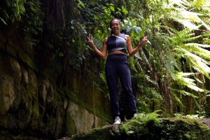 Arusha: Naturskøn vandretur til Napuru-vandfaldene