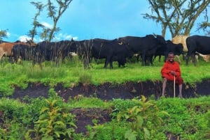 Arusha: Flerdagars campingsafari i Serengeti och Ngorongoro