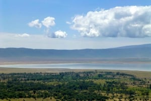 Arusha: Safari en camping de varios días por el Serengeti y el Ngorongoro