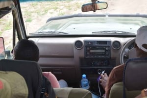 Arusha: Serengeti and Ngorongoro Multi-Day Camping Safari