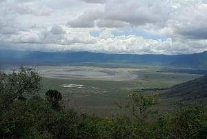 Arusha: Serengeti and Ngorongoro Multi-Day Camping Safari