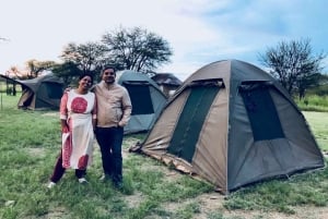 Arusha: Serengeti and Ngorongoro Multi-Day Camping Safari