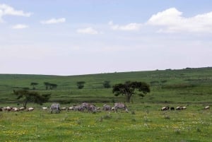 Arusha: Serengeti and Ngorongoro Multi-Day Camping Safari