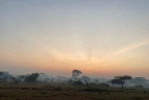 Arusha: Serengeti National Park Overnight Trip
