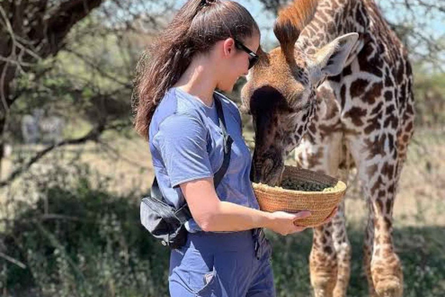Arusha: Dagsudflugt til Serval Wildlife - fodring af giraffer og løver