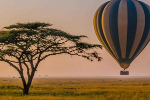 Arusha: Tarangire Balloon Safari and Game Drive Day Trip