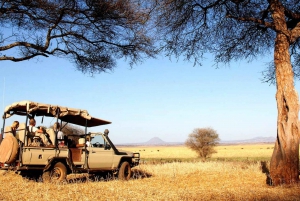 Arusha: Excursión de un día al Parque Nacional de Tarangire con Safari