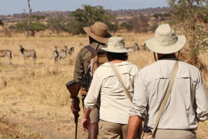 Arusha: Excursión de un día al Parque Nacional de Tarangire con Safari