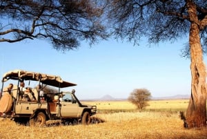 Arusha: Tarangire National Park Day Trip with Safari